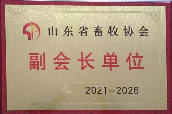 Certificate (19).jpg