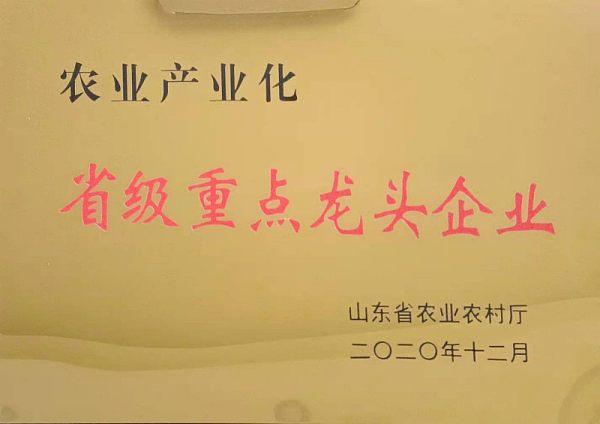 Certificate (28).jpg