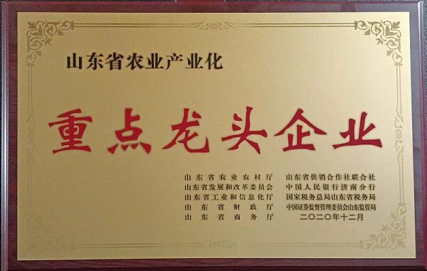 Certificate (29).jpg