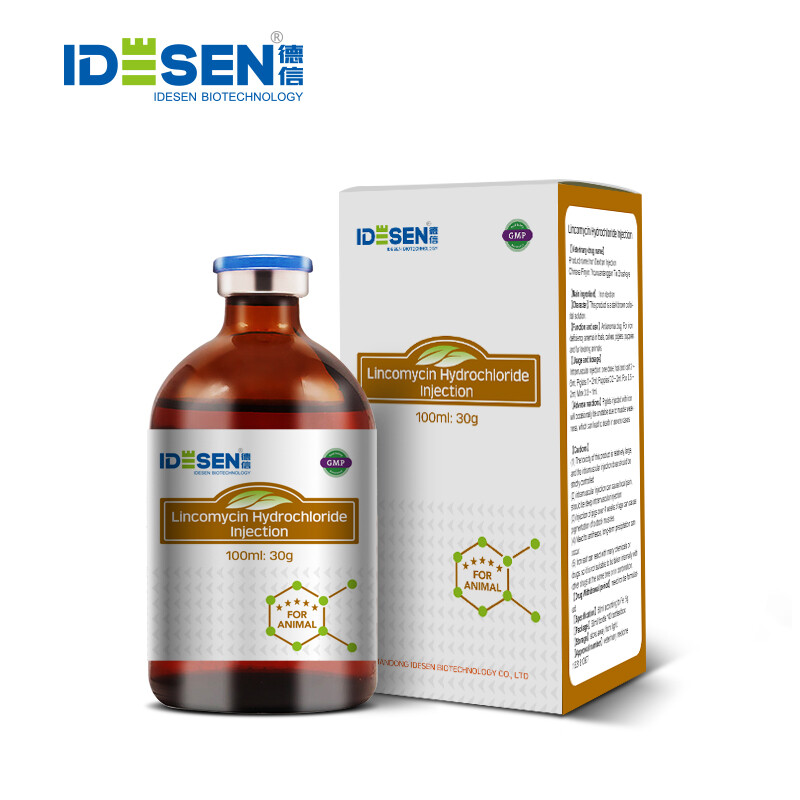 30% Lincomycin Hydrochloride Injection 100ml