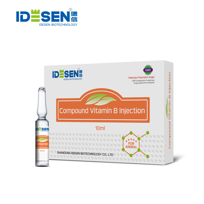 Compound Vitamin B Injection 100ml