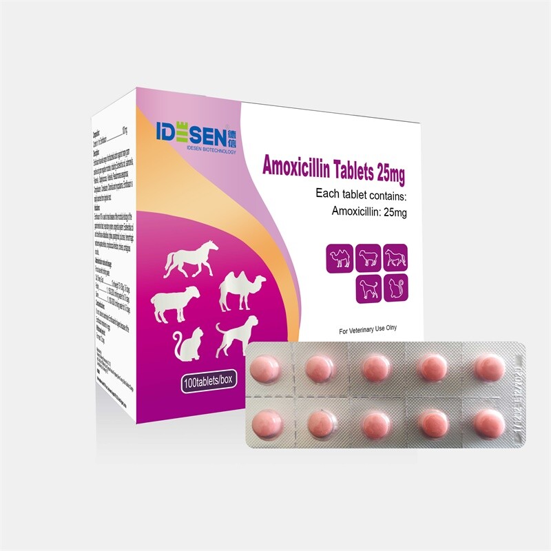 Amoxicillin Tablets 25mg