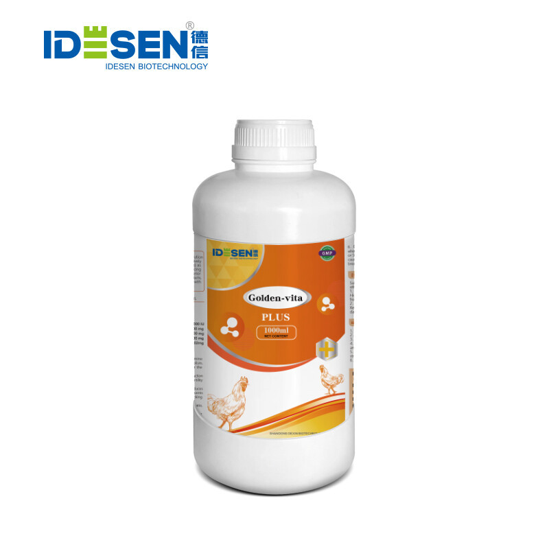 Golden-vitaPLUS