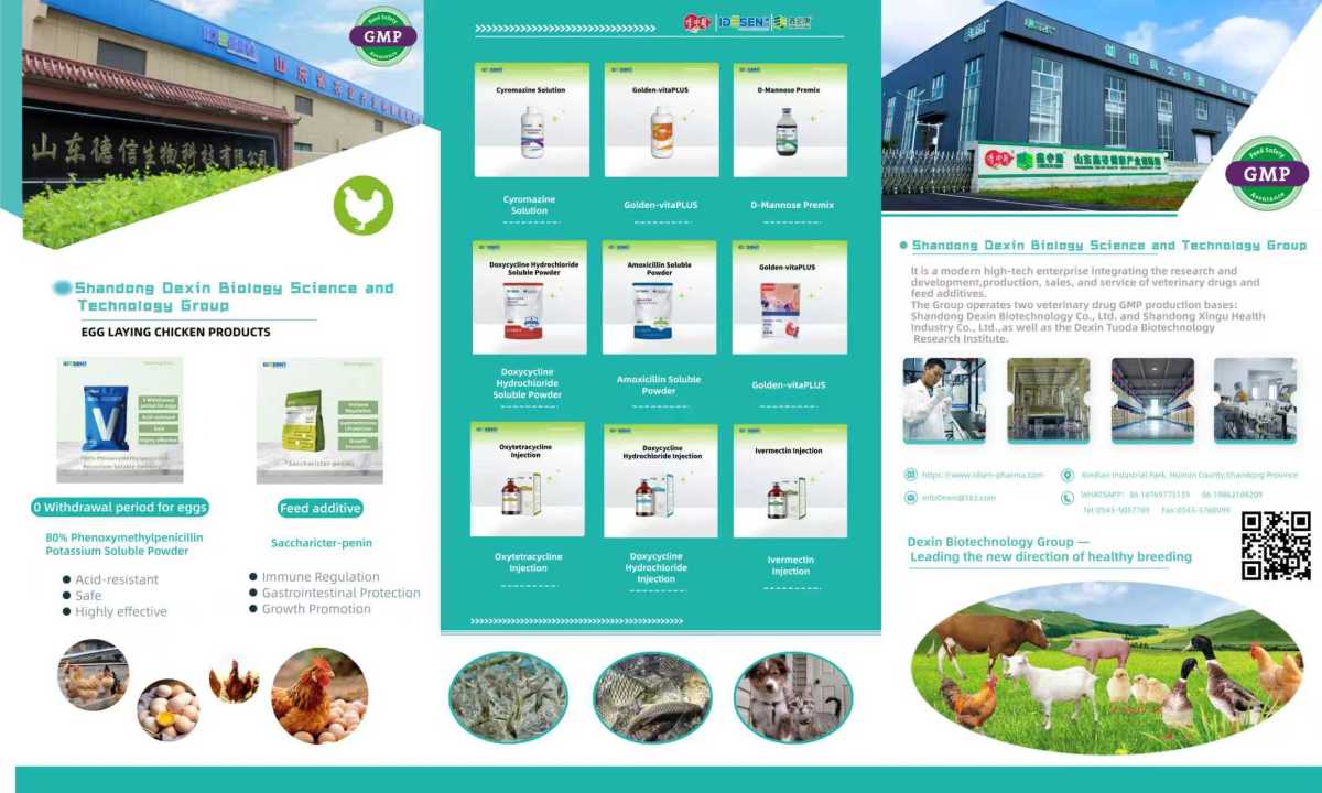 微信图片_20250930134413_477_34 微信图片_20250930134413_477_34