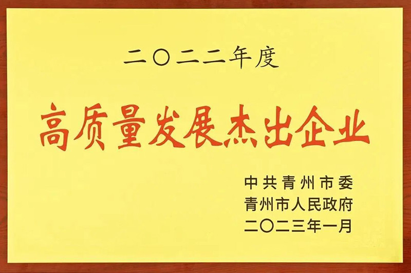 Good news ‖Shandong Useen Holding Group won the commendation at the annual mobilization meeting for high-quality development breakthroughs of enterprises in the city