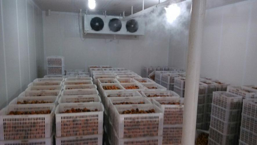 What should be noted for the renovation and expansion of fruit preservation warehouses in cold storage installation companies_ Installation of large fresh-keeping warehouse