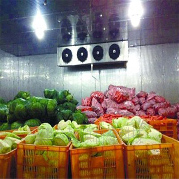 Design and installation of fresh food cold chain distribution cold storage, Tianjin Fresh Meituan cold storage, and construction of fresh frozen storage prices