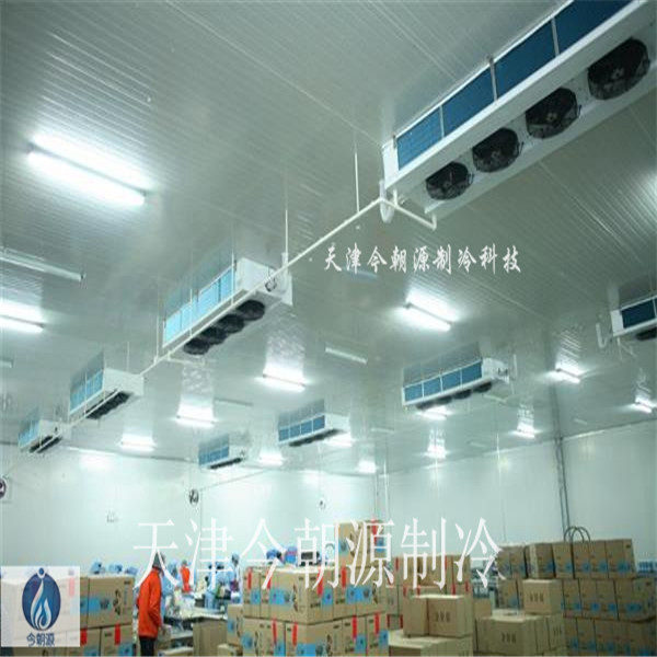 Tianjin Pharmaceutical Cold Storage Design and Installation Class II In vitro Diagnostic Reagent Cold Storage GSP System Certification One stop Service for Pharmaceutical Cold Storage Cost