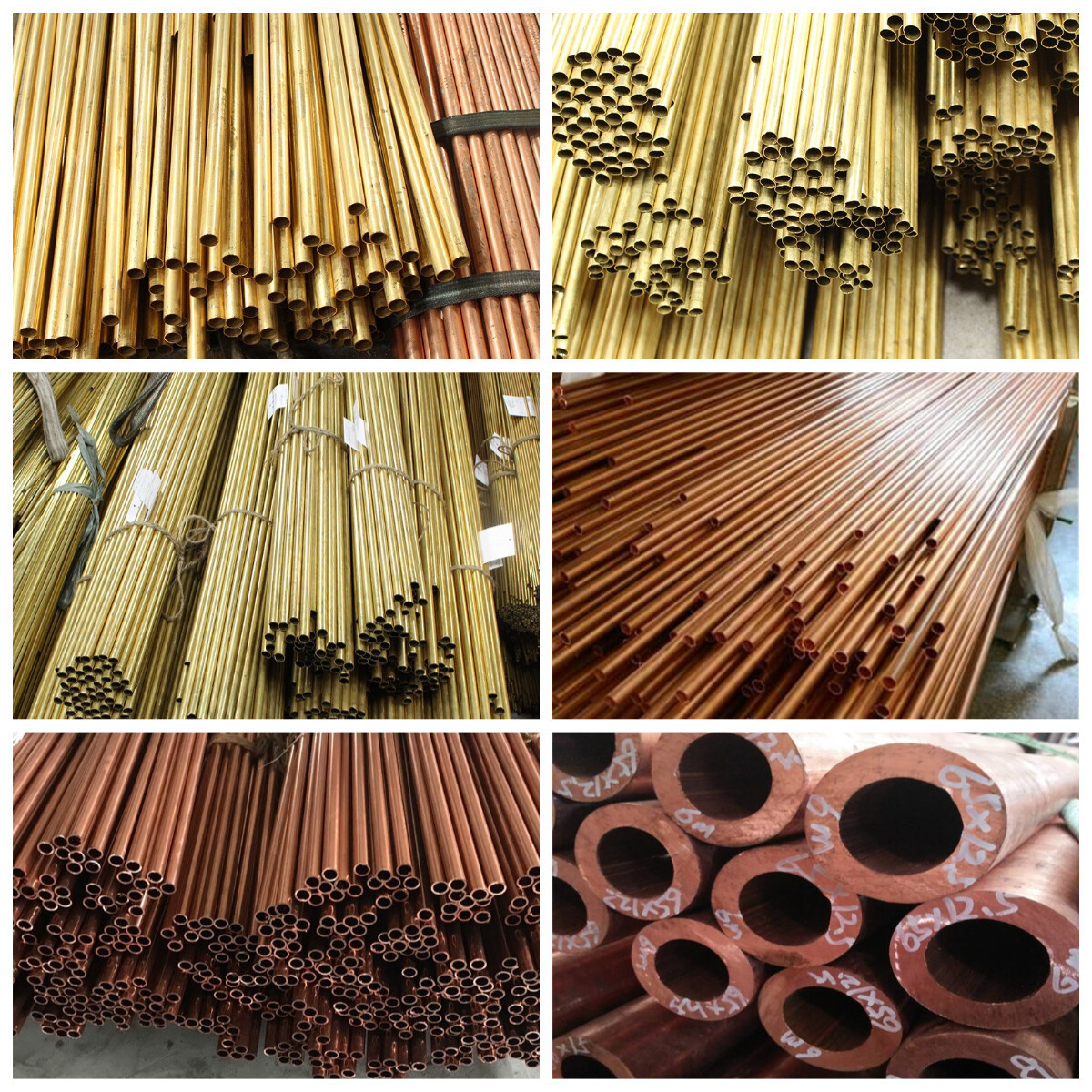 下载 (70).jpg 下载 (70).jpg