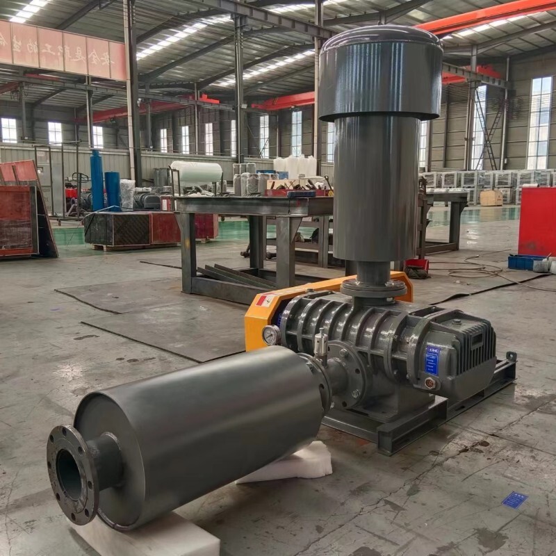 Воздуходувка Рутса