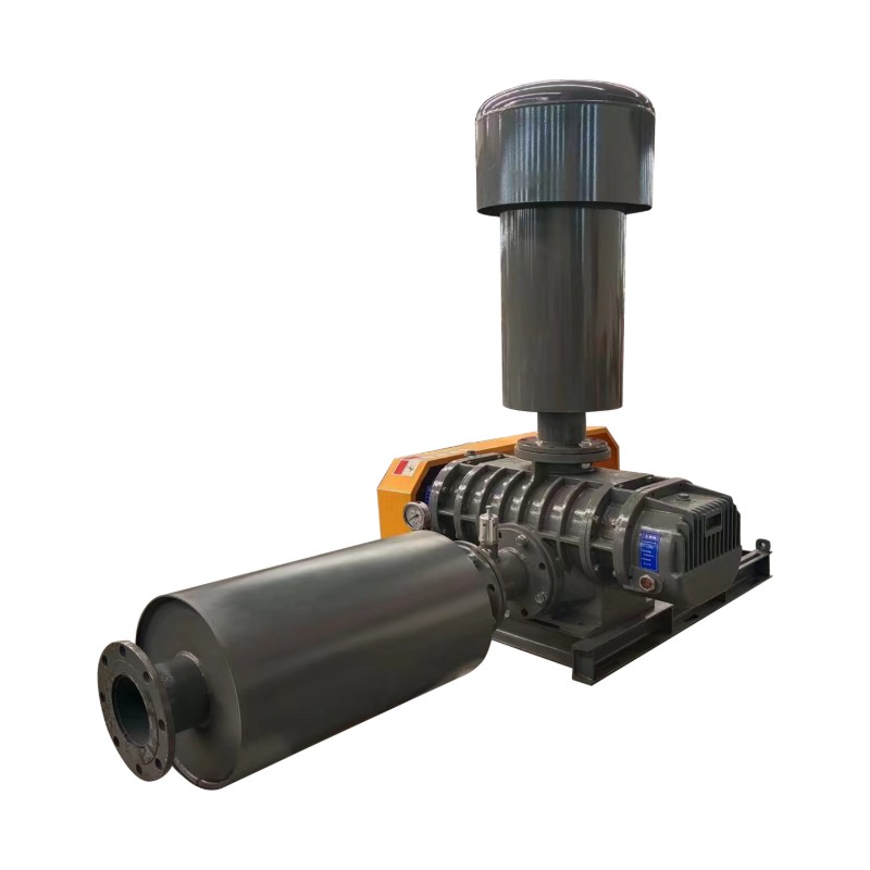 Воздуходувка Рутса