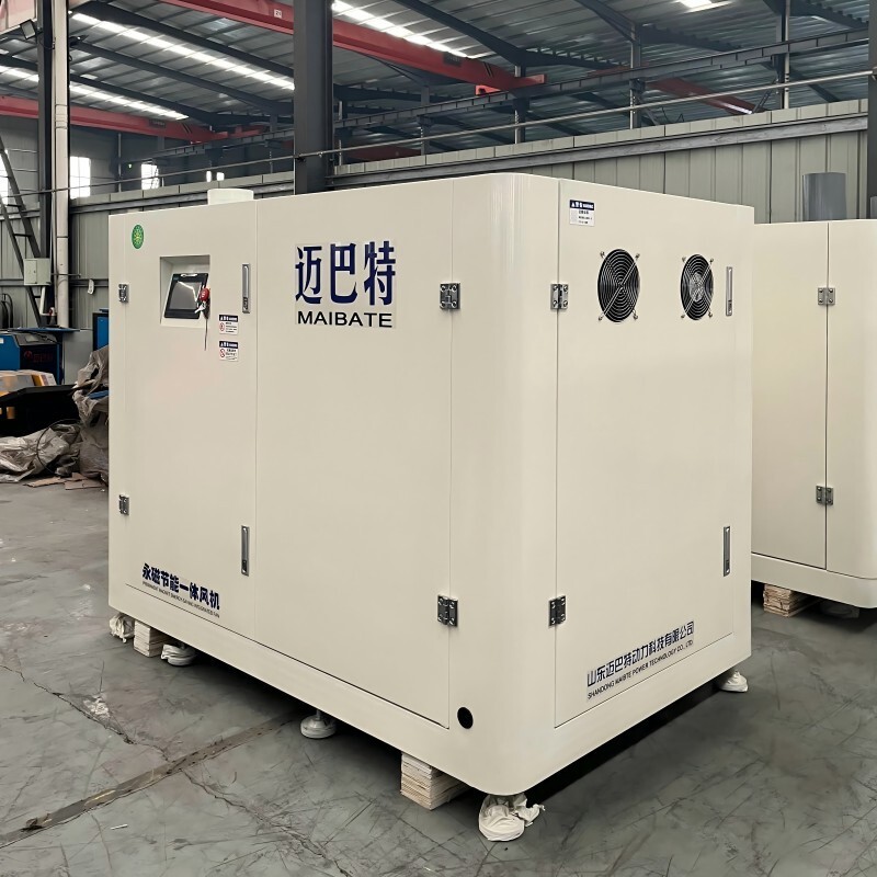 Воздуходувка Рутса с интегрированной машиной PMSM