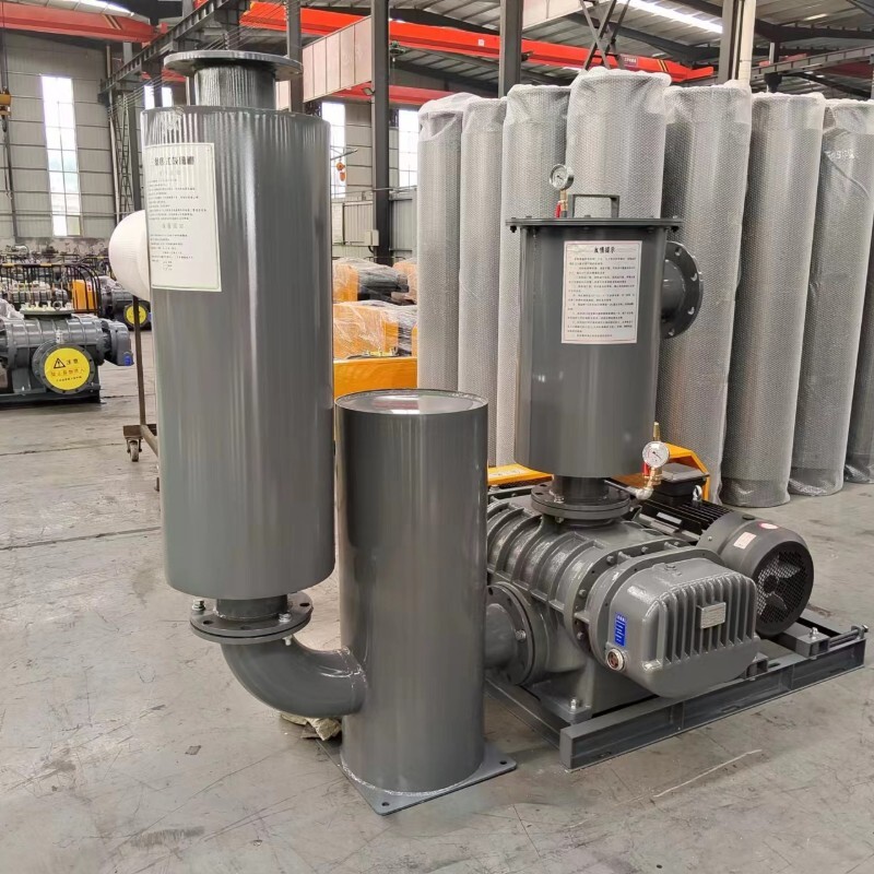 Вакуумный насос Рутса