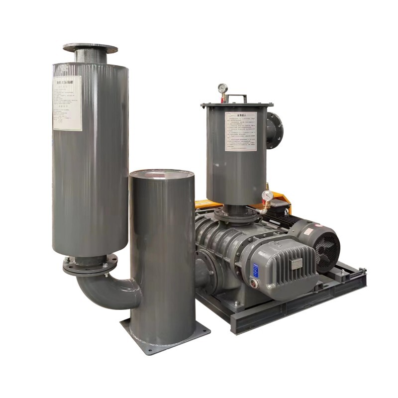 Вакуумный насос Рутса