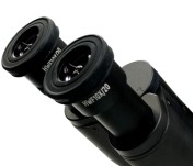 image.png 1770518279878951129990701056.png