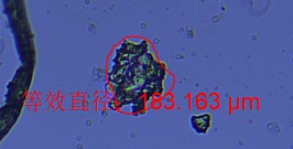 image.png 1773469255891328420781056000.png