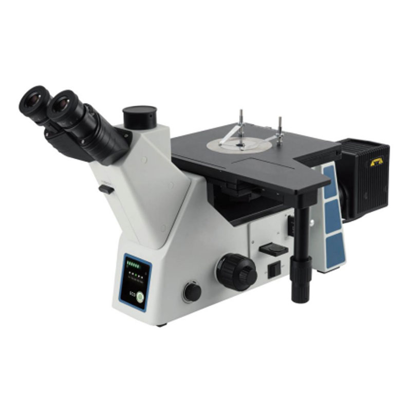 Mẫu Kính Hiển Vi Kim Loại Đảo Ngược Ba Mắt Nghiên Cứu FX-41M