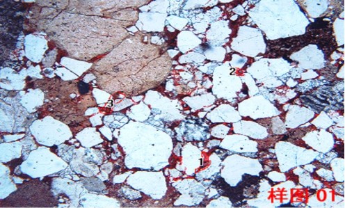 image.png 1770704860879733705999568896.png