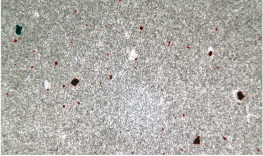 image.png 1770708675879749710624772096.png