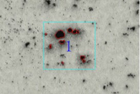 image.png 1773302572890629299170443264.png