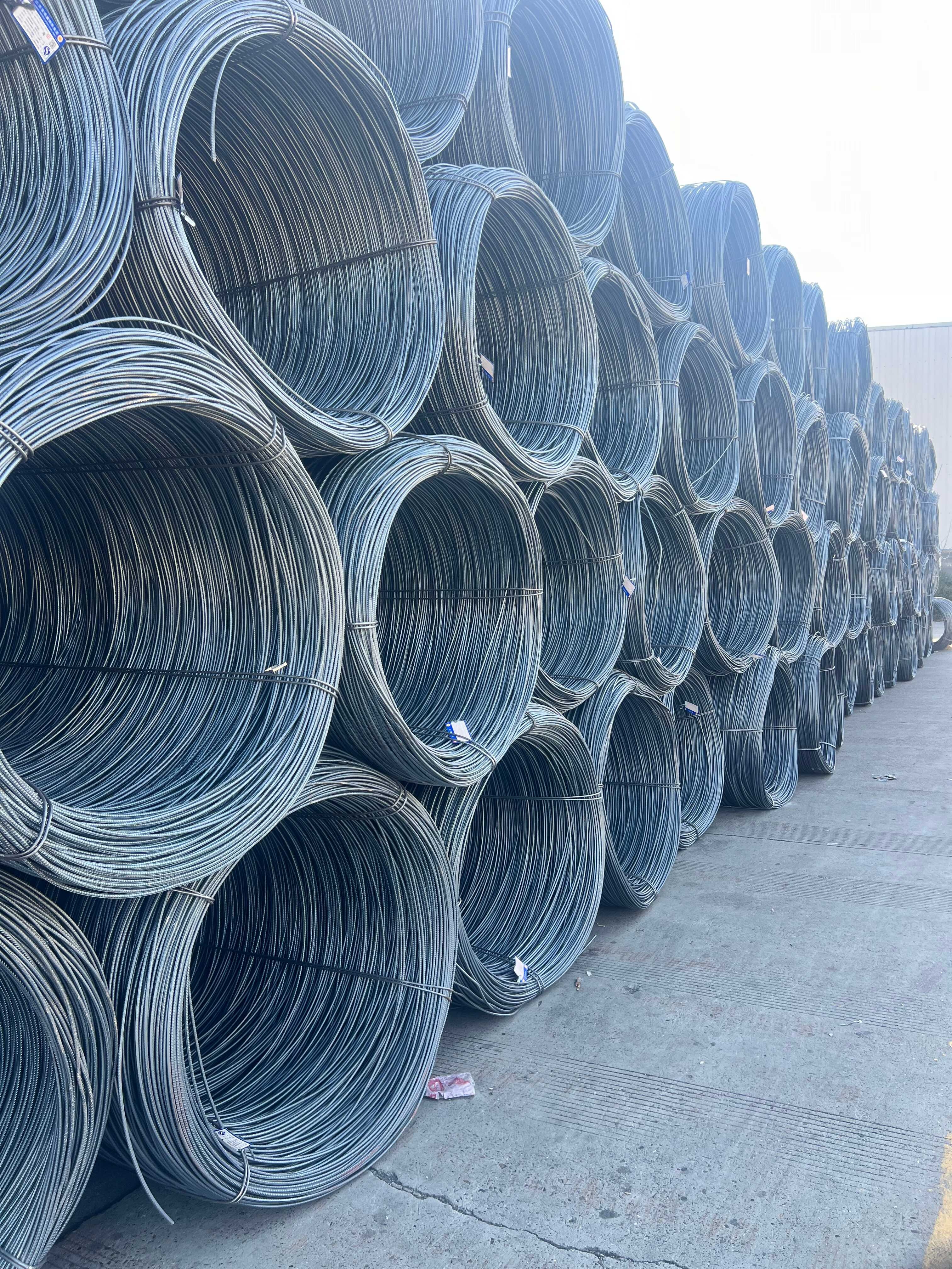 AISI 1060 Wire Rod