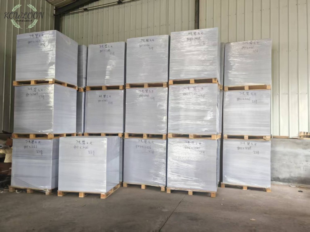 China source factory produces disposable PE single-layer coated flat paper