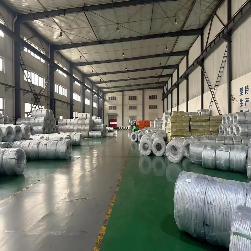 Galvanized steel wire rope