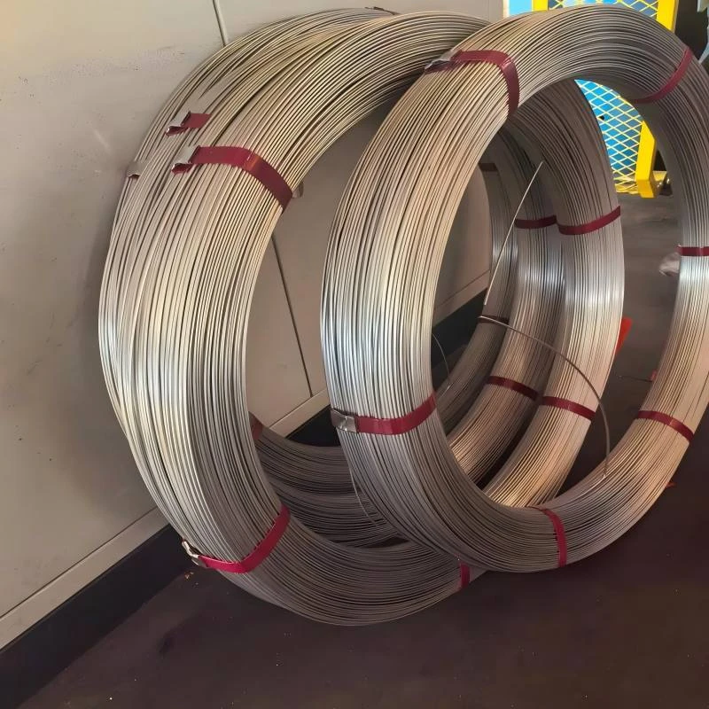 Metal Shell Wire Galvanized Steel Wire-Maxwell Steel (Jiangsu) Co., Ltd