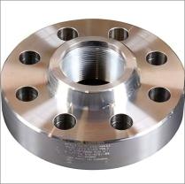 Stainless Steel Flange