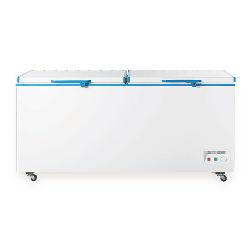 Bulk Soucing Double Door Large Capacity Freezer with Adjustable Thermostat