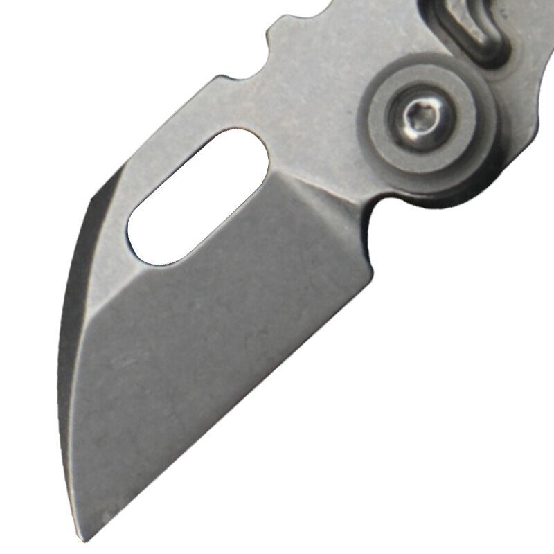 Titanium Alloy - Pterodactyl