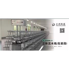 R-9988B-41 Dây chuyền lắp ráp ba chiều bằng thép không gỉ (bộ phận đóng gói)