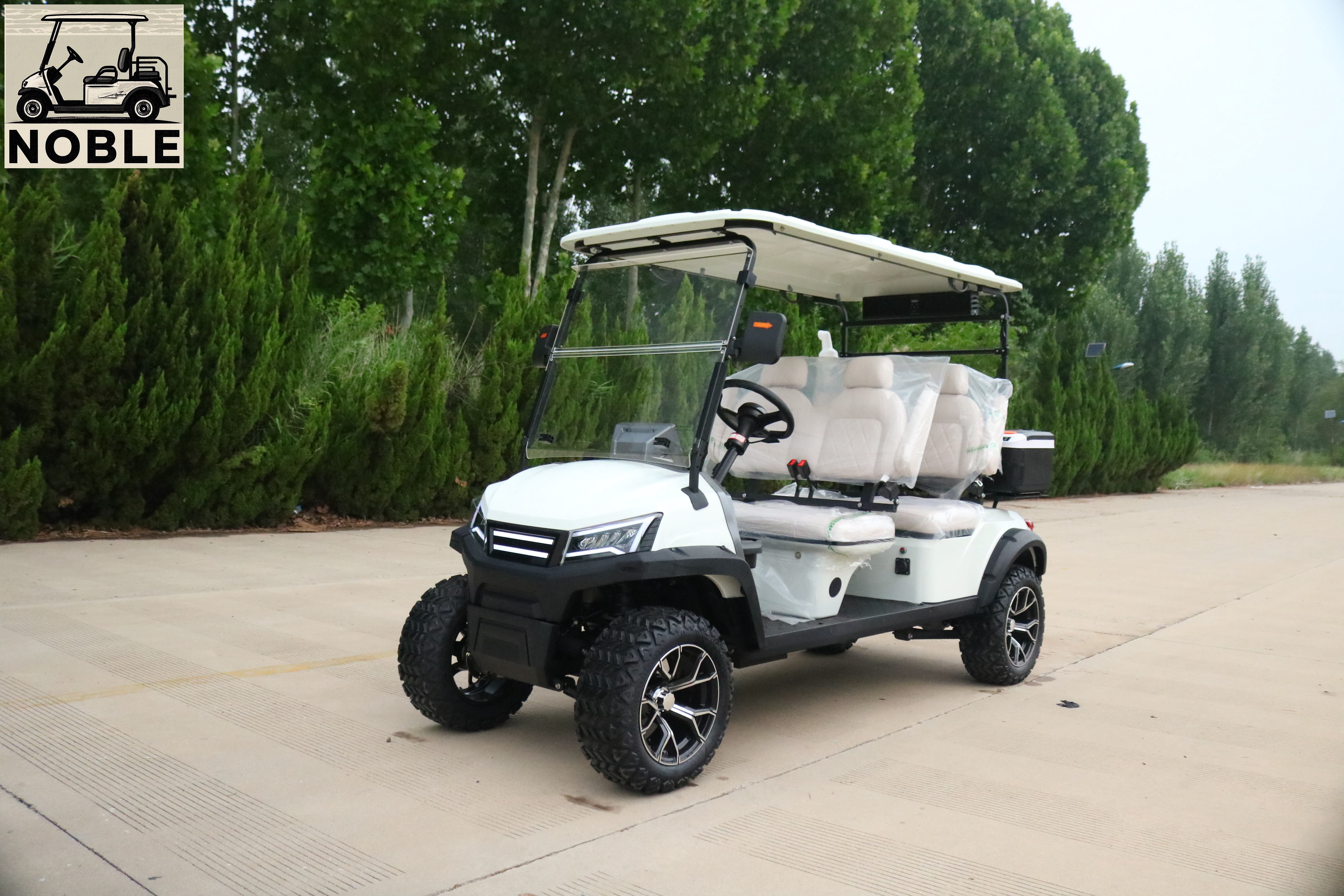 Voiturette de golf 4 places NOBLE F660GA4