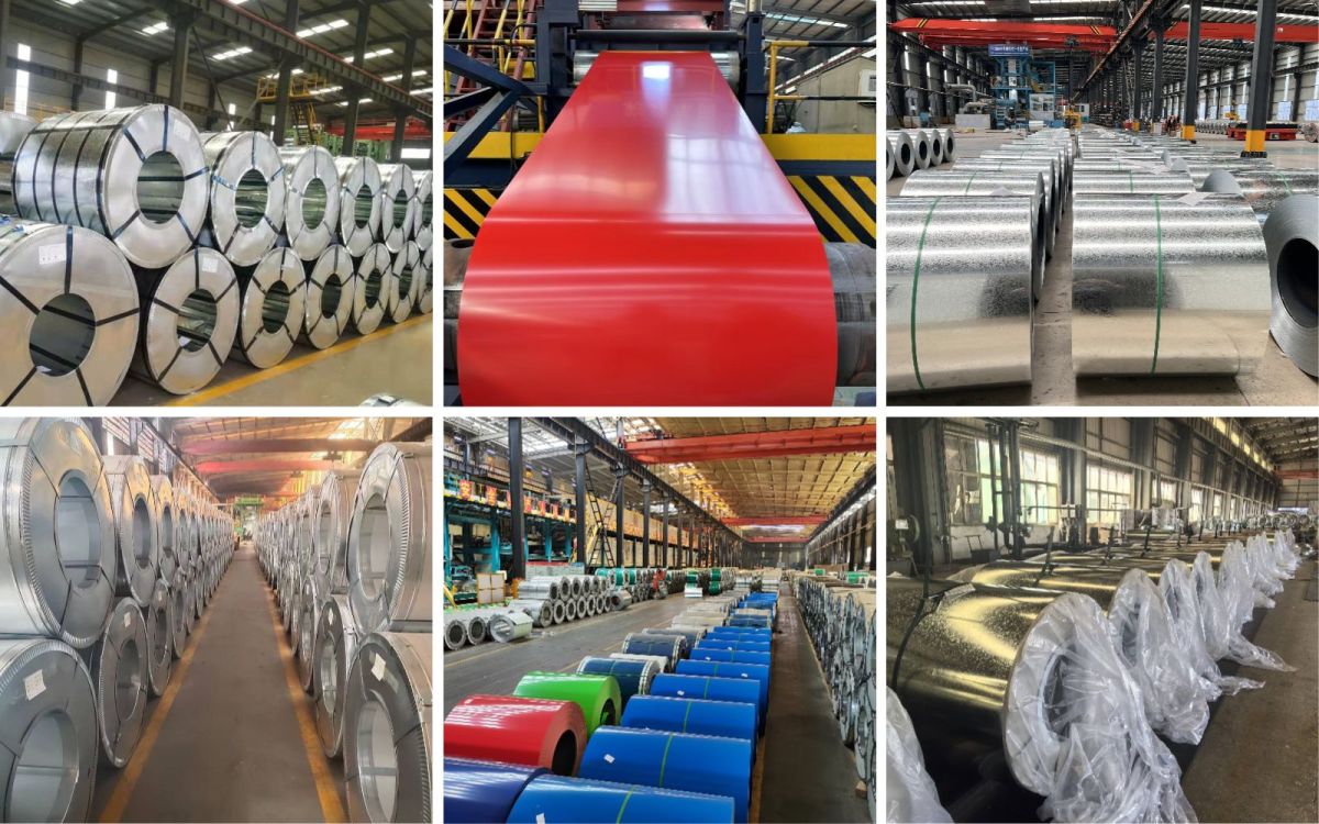 下载 (6) 下载 (6)