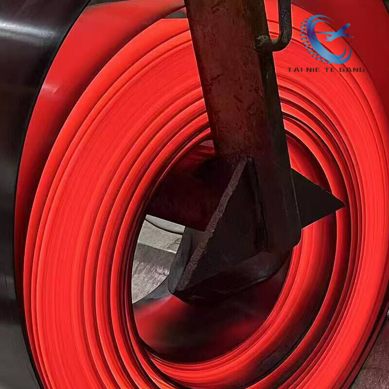 Hastelloy Alloy Strips