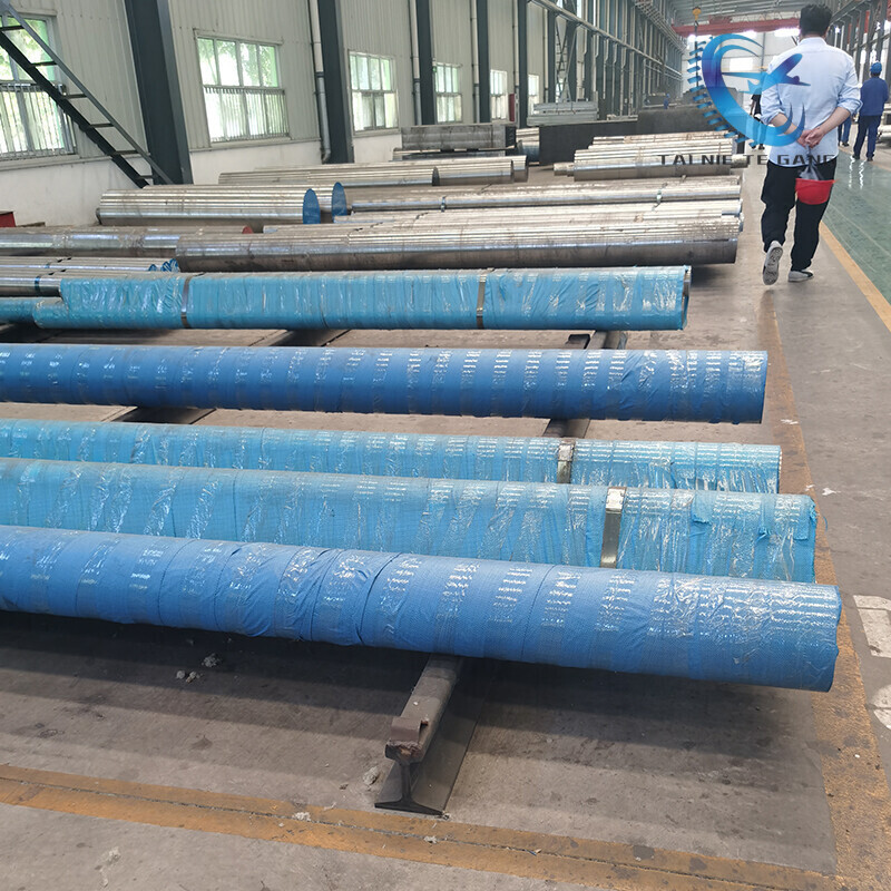 Hastelloy Alloy Strips