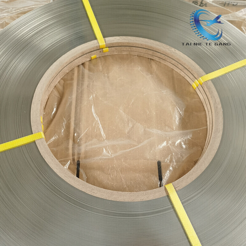 Hastelloy Alloy Strips