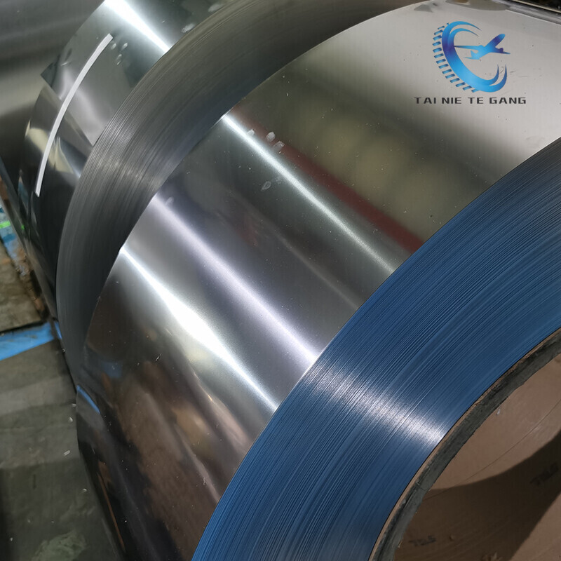 Hastelloy Alloy Strips