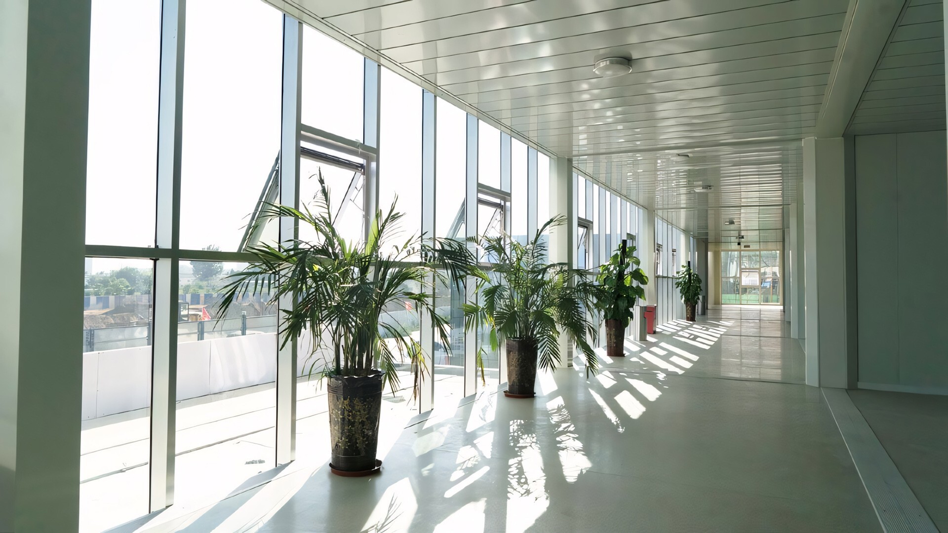 Temporary project office