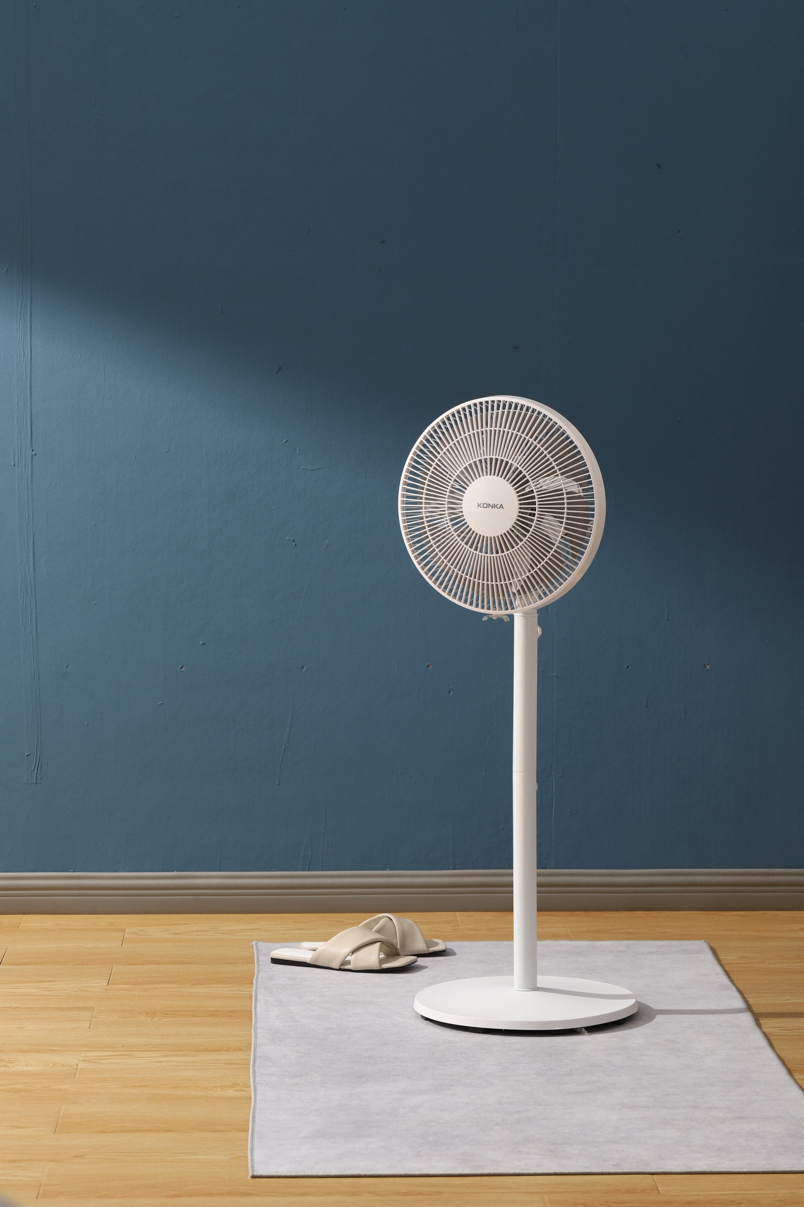 Floor Fan KF-LD01