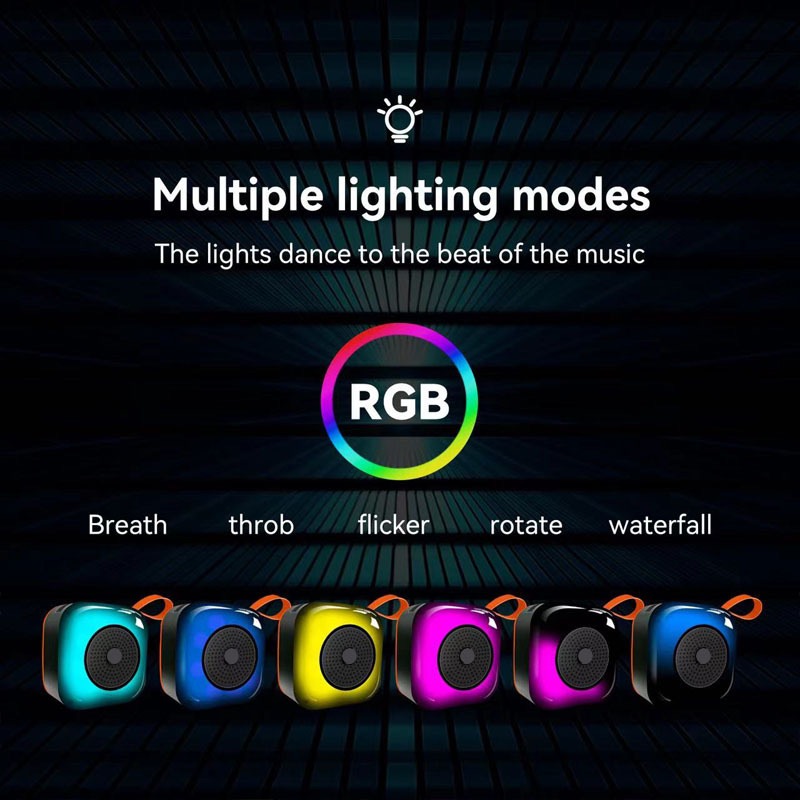 Portable Bluetooth Speaker PR803