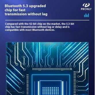 Wireless Bluetooth Speaker PR805