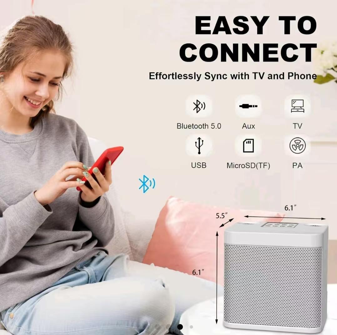 Dual Microphone Wireless Bluetooth Speaker YS-203 