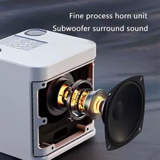 Dual Microphone Wireless Bluetooth Speaker YS-203 