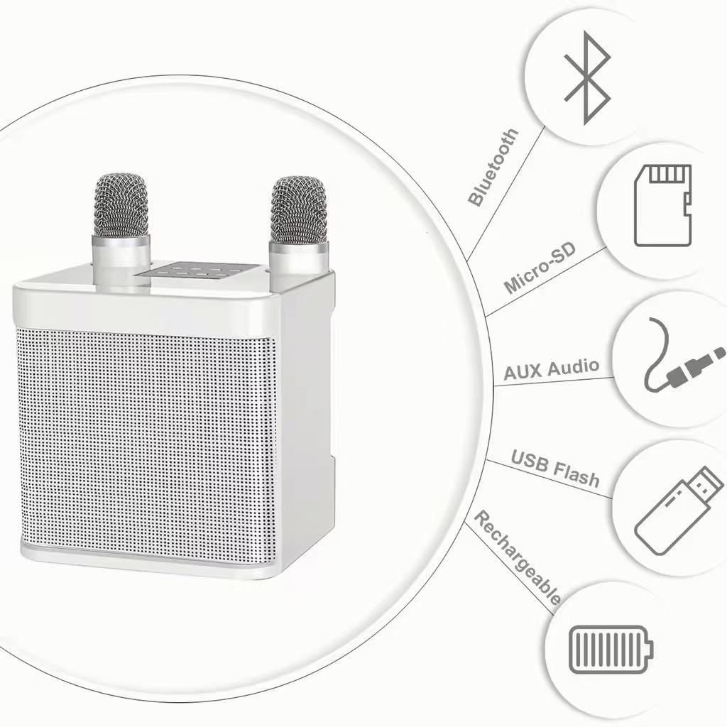 Dual Microphone Wireless Bluetooth Speaker YS-203 