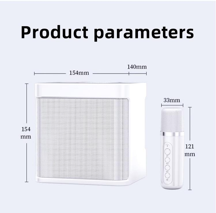 Dual Microphone Wireless Bluetooth Speaker YS-203 