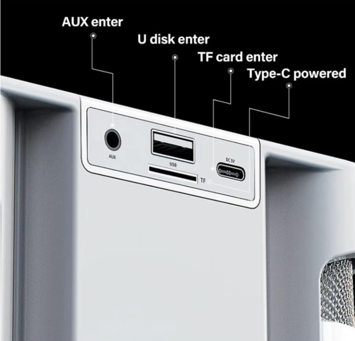 Dual Microphone Wireless Bluetooth Speaker YS-203 