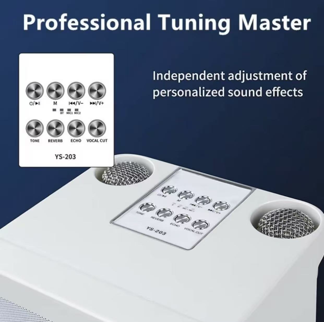 Dual Microphone Wireless Bluetooth Speaker YS-203 