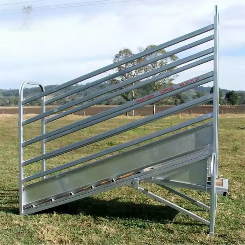 Loading Ramp