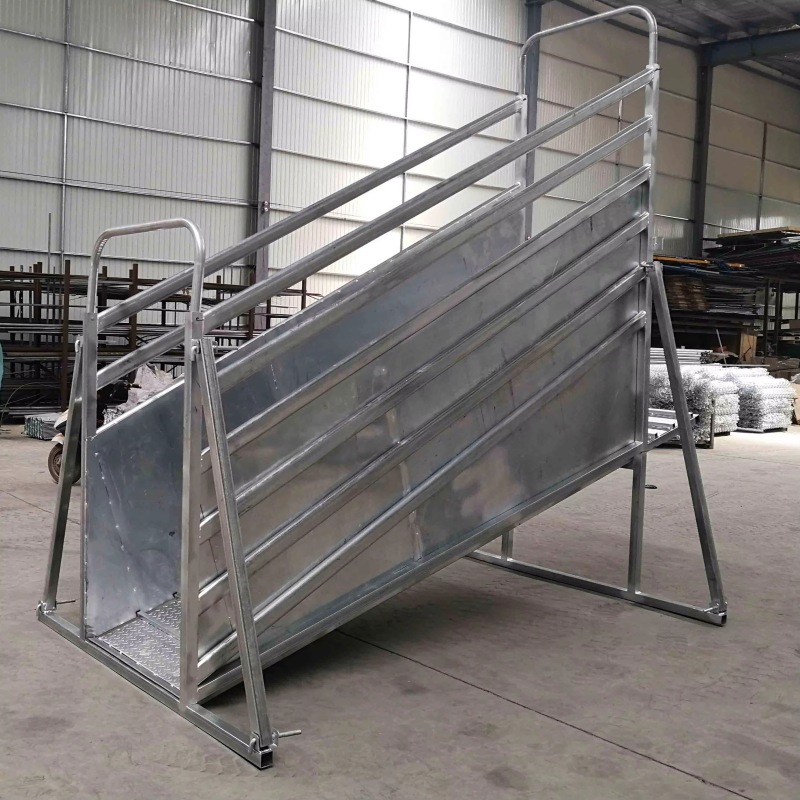Loading Ramp